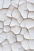 Cracked white surface displaying intricate patterns and textures photo