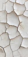 Cracked dry earth surface revealing patterns in a barren landscape photo