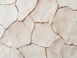 Cracked clay surface during dry season in an arid landscape photo