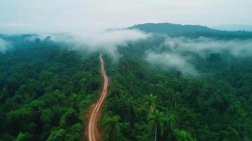 Aerial view of a winding dirt road through lush green forest photo