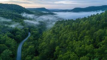 Aerial view of winding road through misty green hills at dawn photo