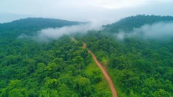 Aerial view of a winding dirt road through lush green forest photo