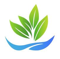 The image features a logo design with green leaves and water waves, showcasing a fresh and clean graphic style on a white background. Concept of hydroponic gardening. vector