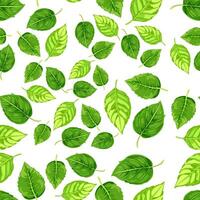 seamless pattern features various shades and shapes of green leaves against a white background. Perfect for nature-themed designs, eco-friendly packaging, and botanical illustrations vector