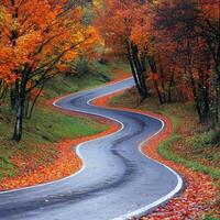 Winding road lined with autumn foliage in a serene landscape setting photo