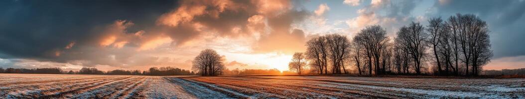 Golden sunrise over a tranquil landscape with frosty fields and trees photo