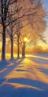 Sunrise illuminates snowy landscape with silhouetted trees in winter photo