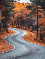 Scenic winding road through vibrant autumn forest landscape photo