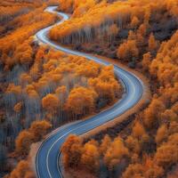 Winding road through vibrant autumn foliage in a forest landscape photo