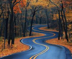 Winding road through colorful autumn forest in tranquil setting photo