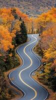 Winding road through vibrant autumn foliage in a national park photo