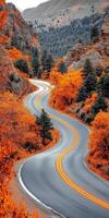 Curving road surrounded by vibrant autumn foliage in mountainous landscape photo