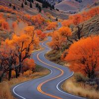 Beautiful winding road through vibrant autumn trees in the mountains photo