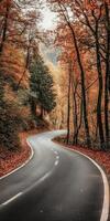 Winding road through autumn foliage in a tranquil forest setting photo