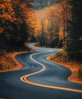 Winding road through orange autumn forest at dusk photo