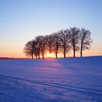 Sunset over snowy landscape with trees silhouetted against the sky photo