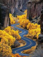 Winding road through vibrant autumn trees in a secluded canyon photo