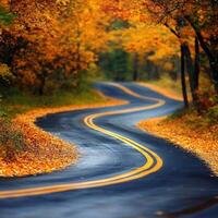 Winding road surrounded by vibrant autumn foliage in a serene setting photo