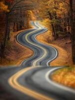 Winding road through autumn trees in a serene rural landscape photo