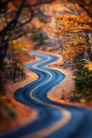 Winding road through vibrant autumn foliage in a serene landscape photo