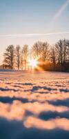 Winter sunrise over a snowy landscape with silhouetted trees photo