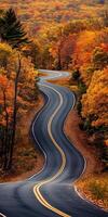 Winding road through vibrant autumn foliage in a forested area photo