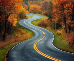 Winding road through colorful autumn foliage in a tranquil landscape photo