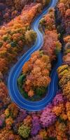 Winding road through vibrant autumn trees in a colorful forest photo