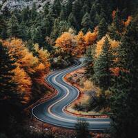 Winding road through colorful autumn forest in a mountainous region photo