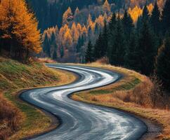 Winding road through autumn forest with vibrant foliage in the hills photo