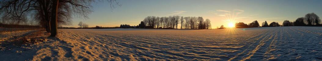 Winter sunset over a snowy field with trees in the background photo