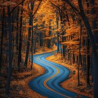 Winding road through vibrant autumn forest with golden leaves photo