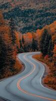 Winding road through colorful autumn foliage in a serene landscape photo