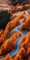 Winding road through vibrant autumn forest in mountainous landscape photo