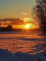 Golden sunrise over a snowy landscape by the river in winter photo
