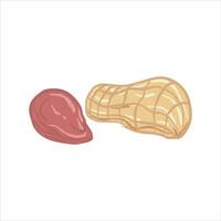 hand drawn illustration of a peanut, with one peanut shell and one peanut kernel separated from its shell. vector