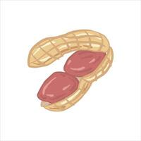 Hand drawn peanut illustration with the shells open, revealing two reddish brown peanuts inside. The peanut shells have a rough texture pattern, giving a realistic feel. vector