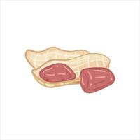 Peanuts with the skin open, revealing two red beans inside. Peanut skins have a natural fibrous texture, while peanuts themselves have a smooth and shiny surface. vector