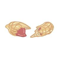 Two halves of a split peanut. The left side shows the inside of the peanut with the red bean, indicating that the peanut has been split. The right side shows the shell with one bean inside. vector