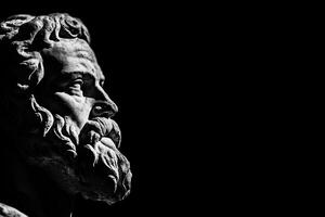 A dramatic black and white close-up of a classical statue's profile, showcasing intricate details of the beard and hair, set against a dark background. photo