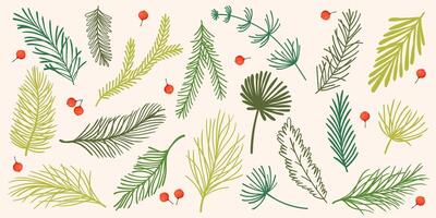Cartoon Set of Flat Fir Tree Branches with Red Berries. Collection of spruce twigs in hand drawn cartoon style isolated on white background. vector