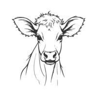 Hand Drawn Cow Sketch vector