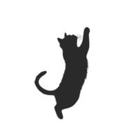 Silhouette of a cat in a playful pose on a white background vector