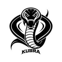 The logo for kubra vector