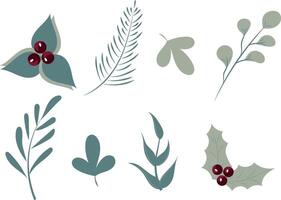 Set of decorative winter floral elements. Christmas and new year design kit vector