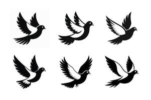 A Pigeon Full Length Fly in Sky vector