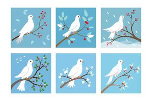 a white dove perched on a snow-covered plum tree branch. vector