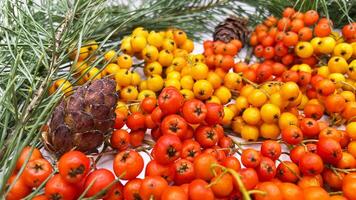 Orange and yellow berries are arranged on a white surface photo