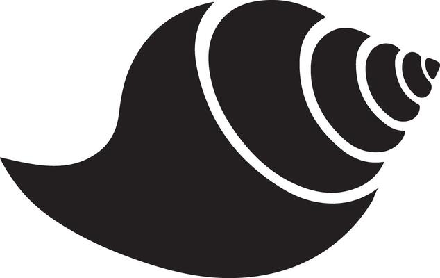 Beautiful Conch Shell for Designers