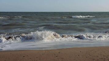 Turquoise ocean waves crashing onto a sandy beach create white sea foam that collects along the shore under a radiant sun, establishing a tranquil and idyllic coastal atmosphere video